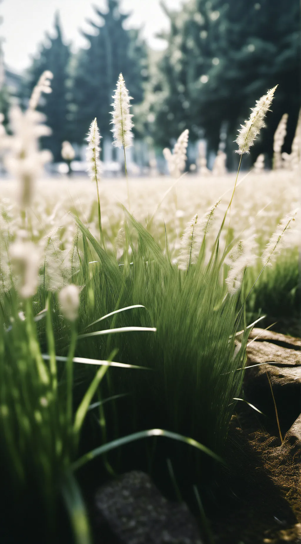 ai character: Grass background