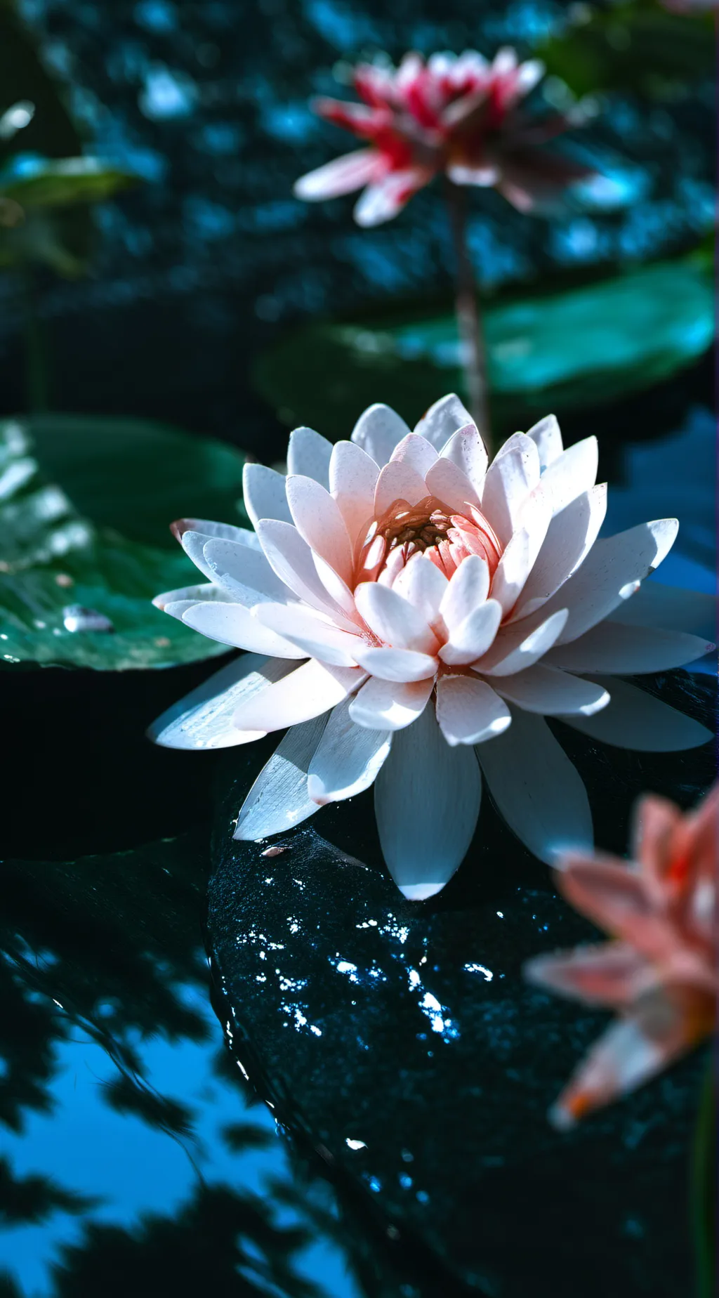 Talkie AI - Chat with Camp half blood