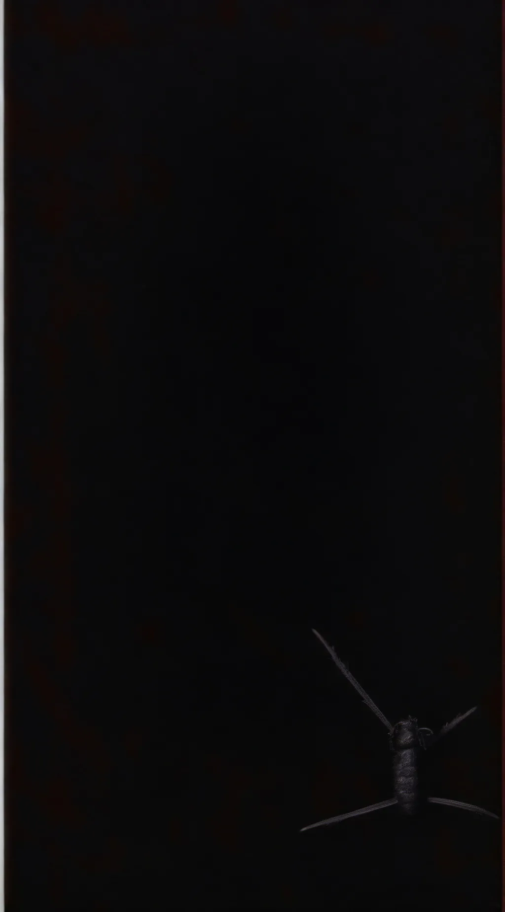 ai character: Shadow#2 background