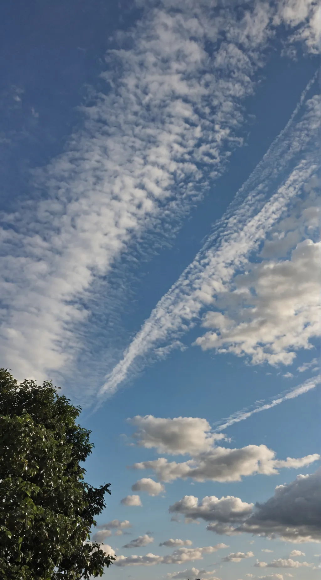 ai character: Family!  background