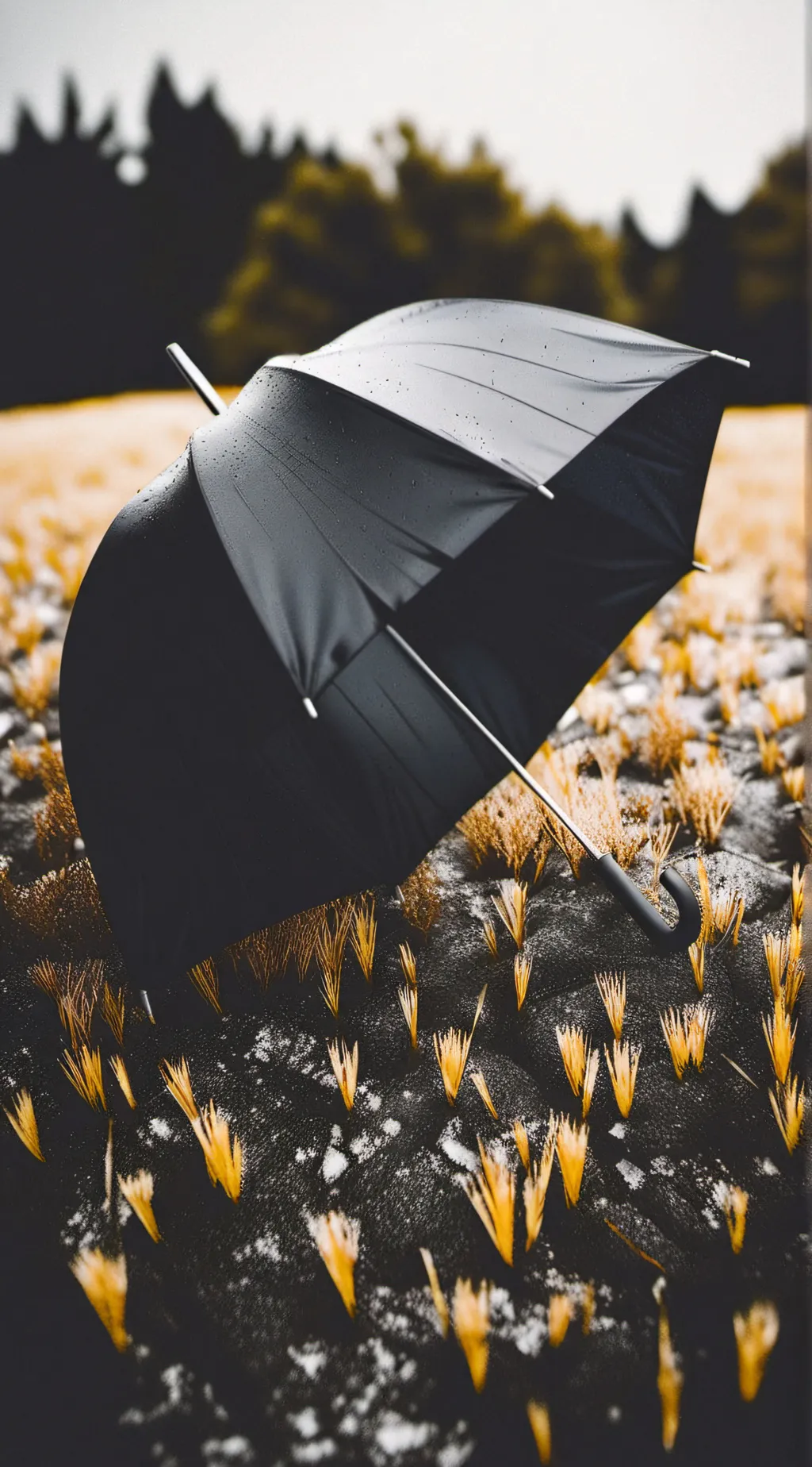 ai character: TUA  background