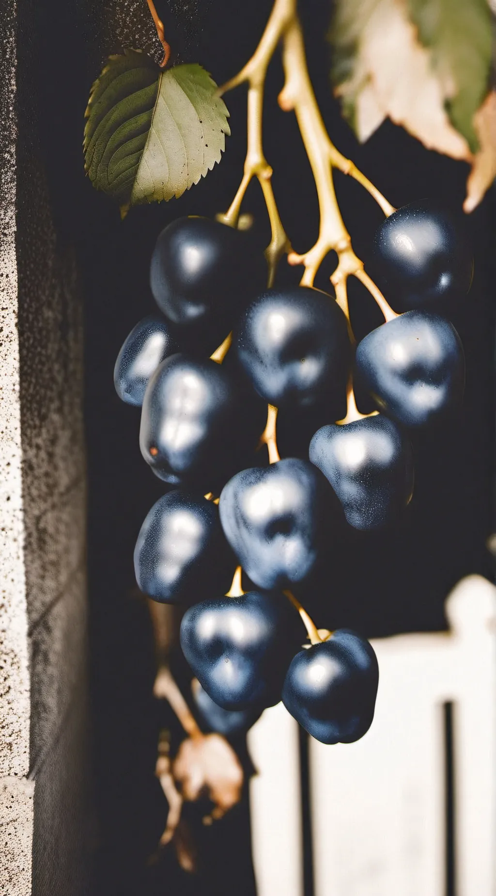 ai character: mystery fruit background