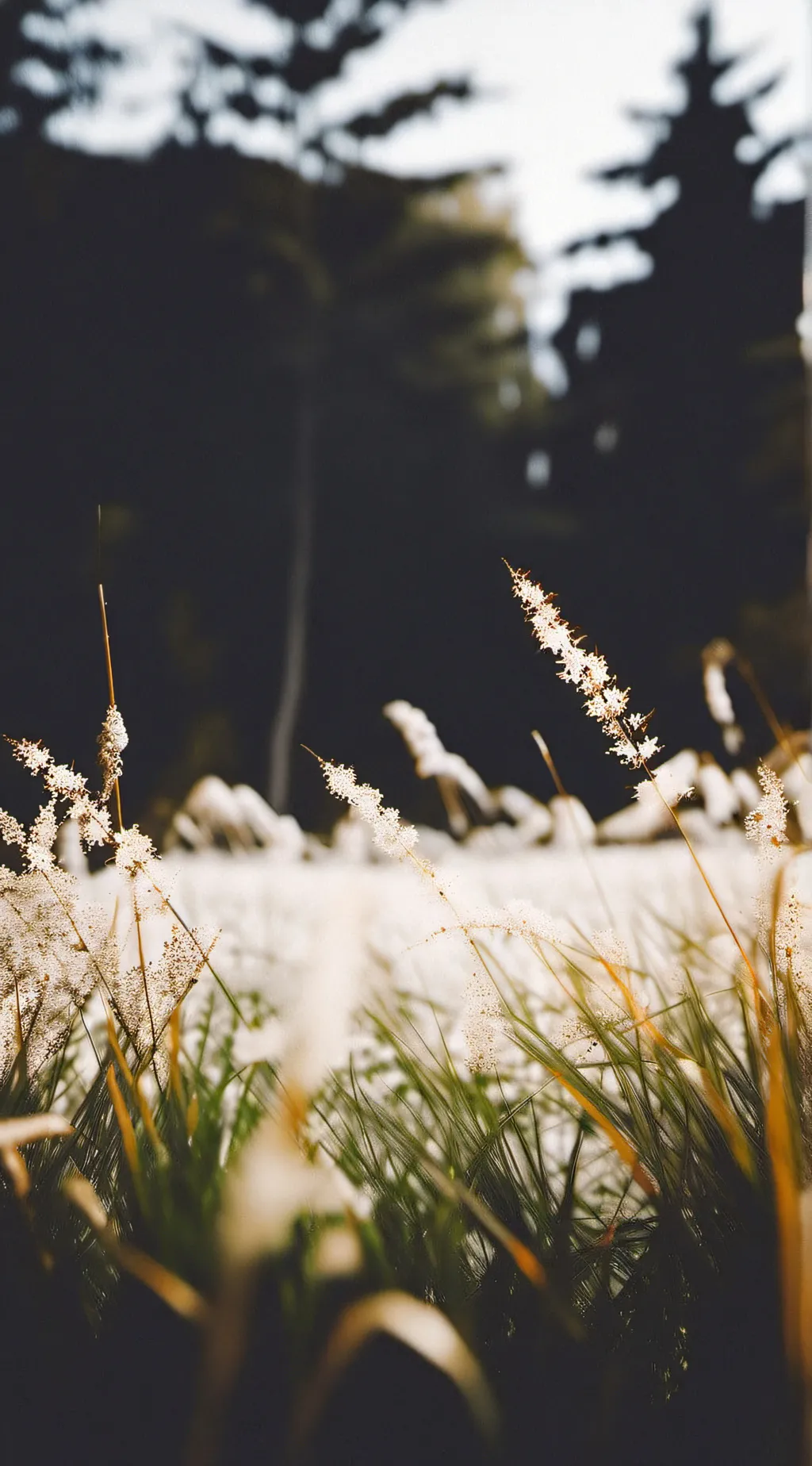 ai character: grass(DARE) background