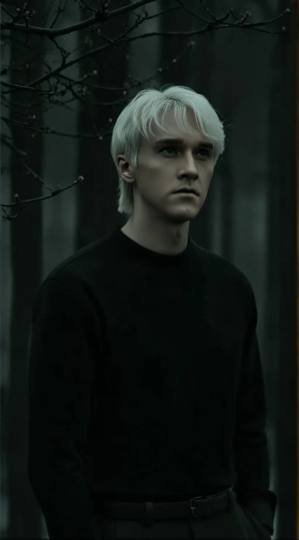 ai character: Draco Malfoy background