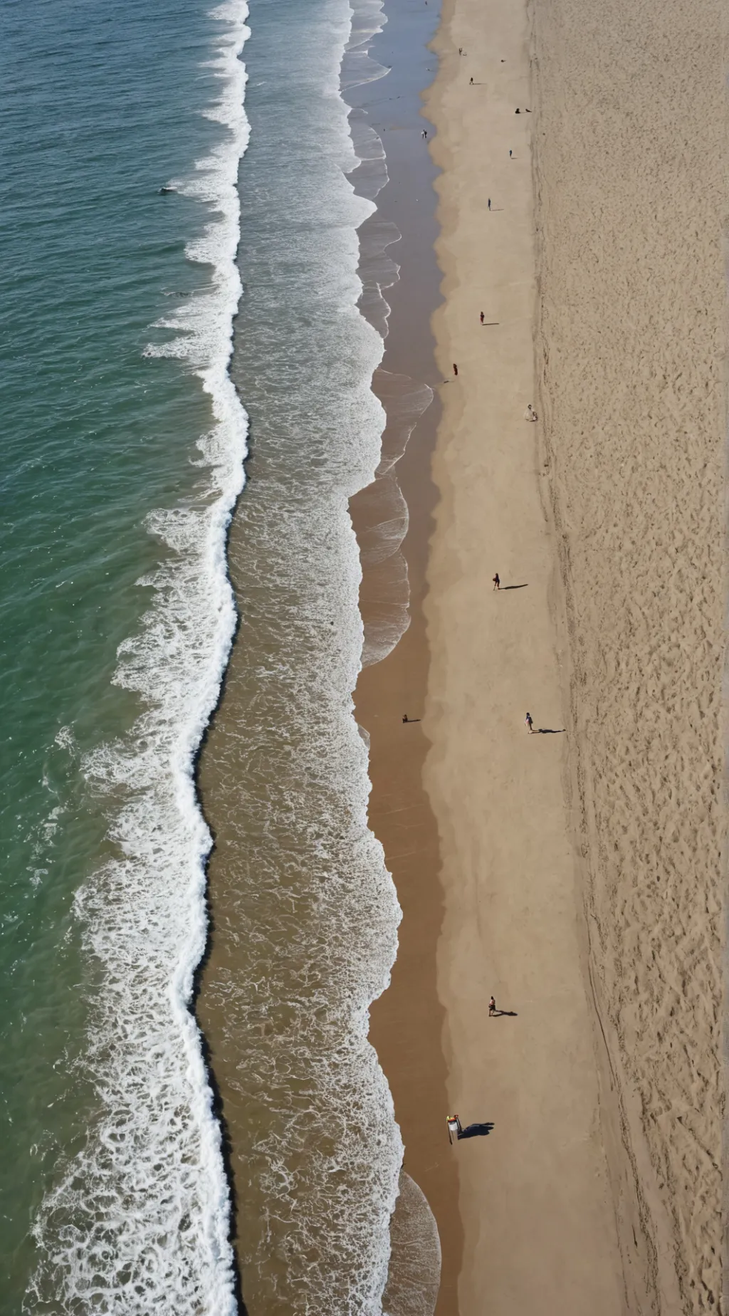 ai character: Evolution(BEACH)  background