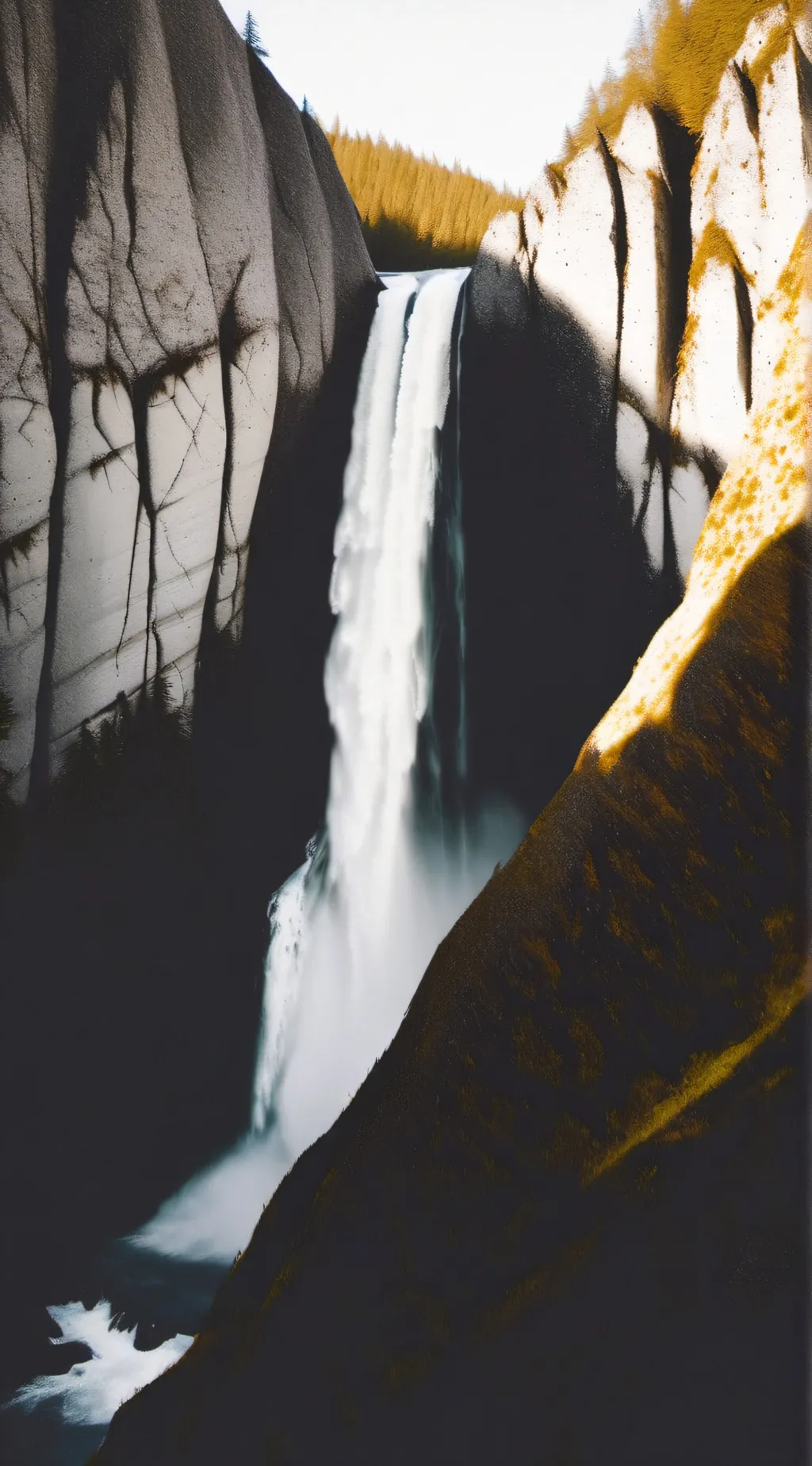 ai character: bakugos sis background