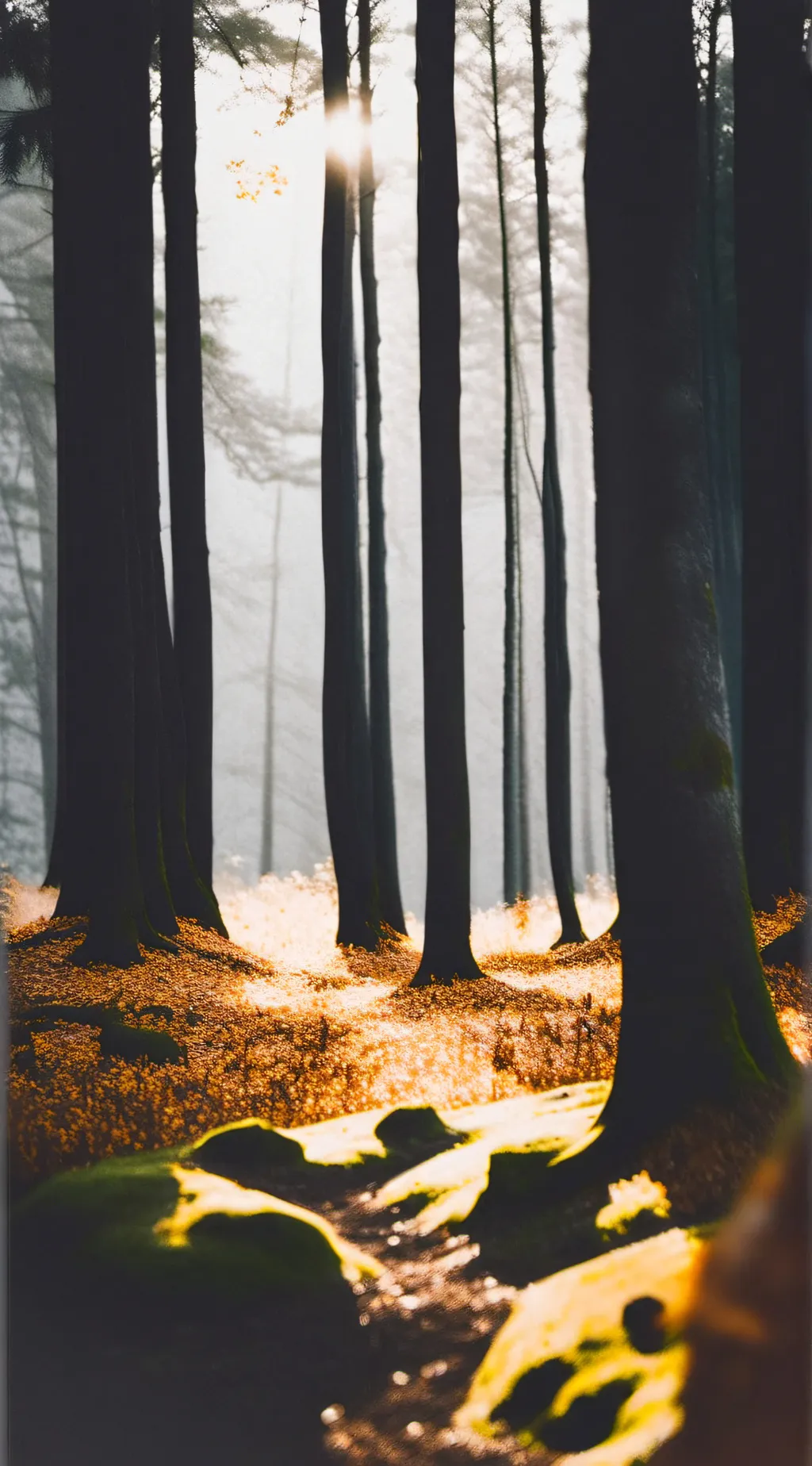 ai character: Hashiras (pt2) background