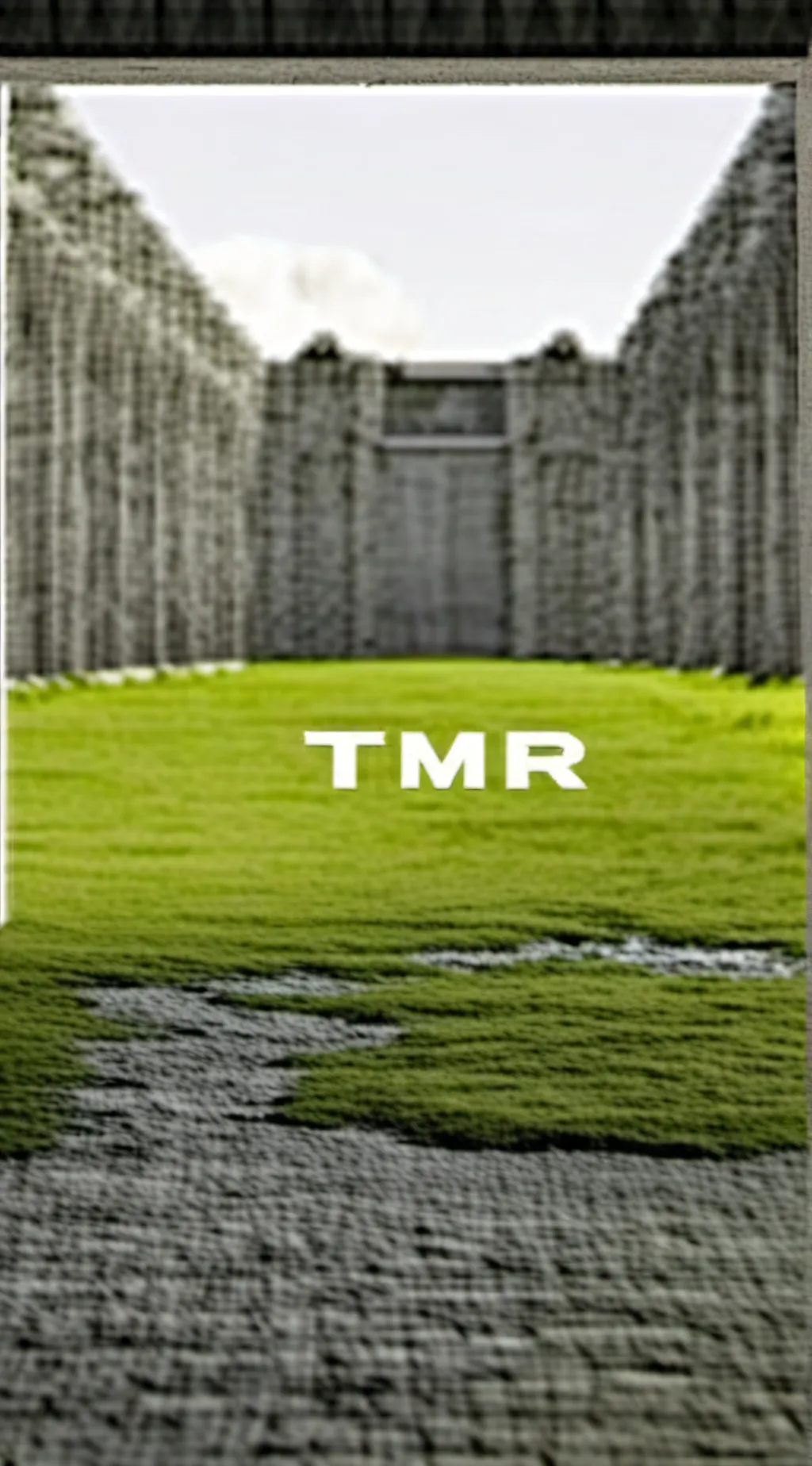 ai character: TMR background