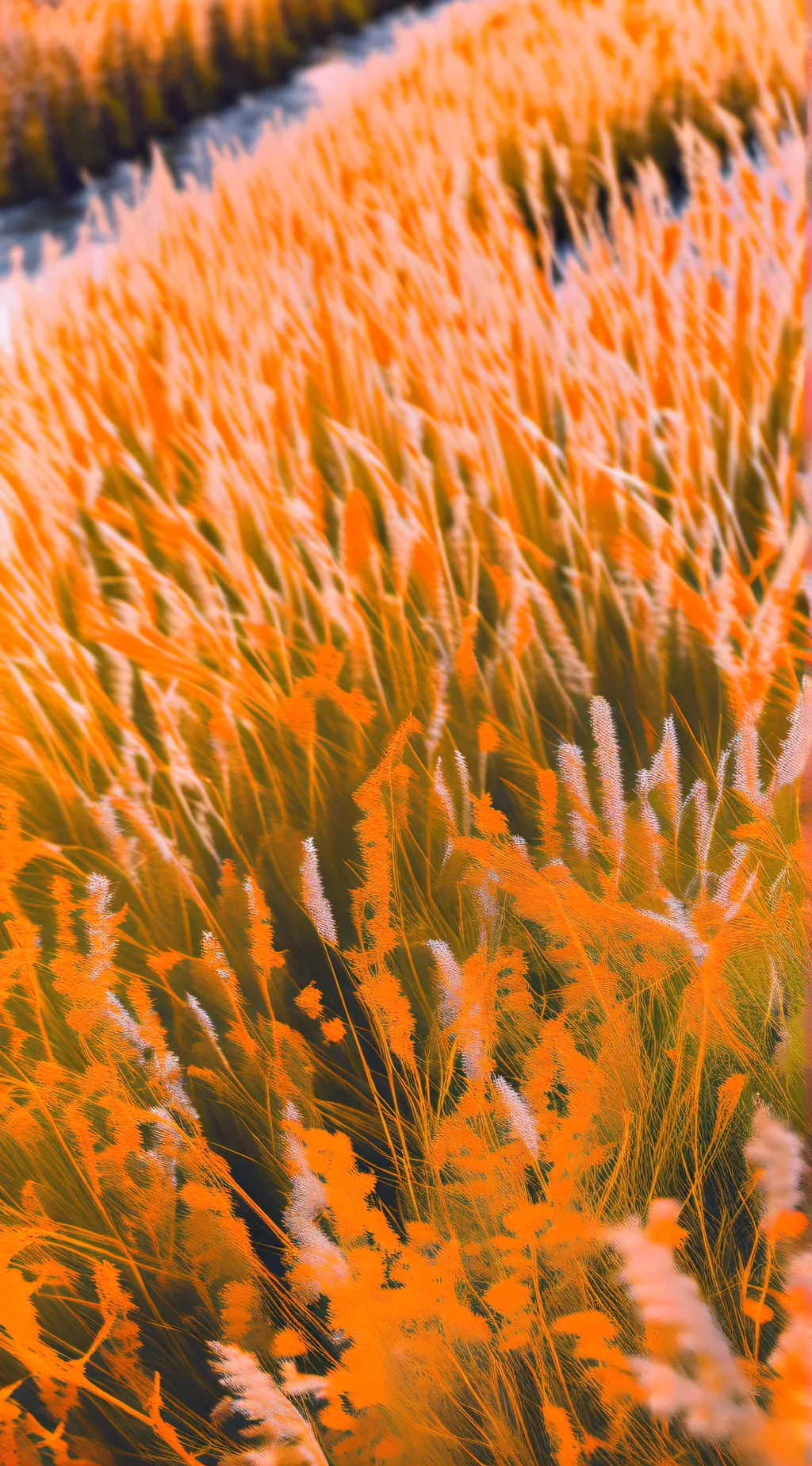 ai character: grass background