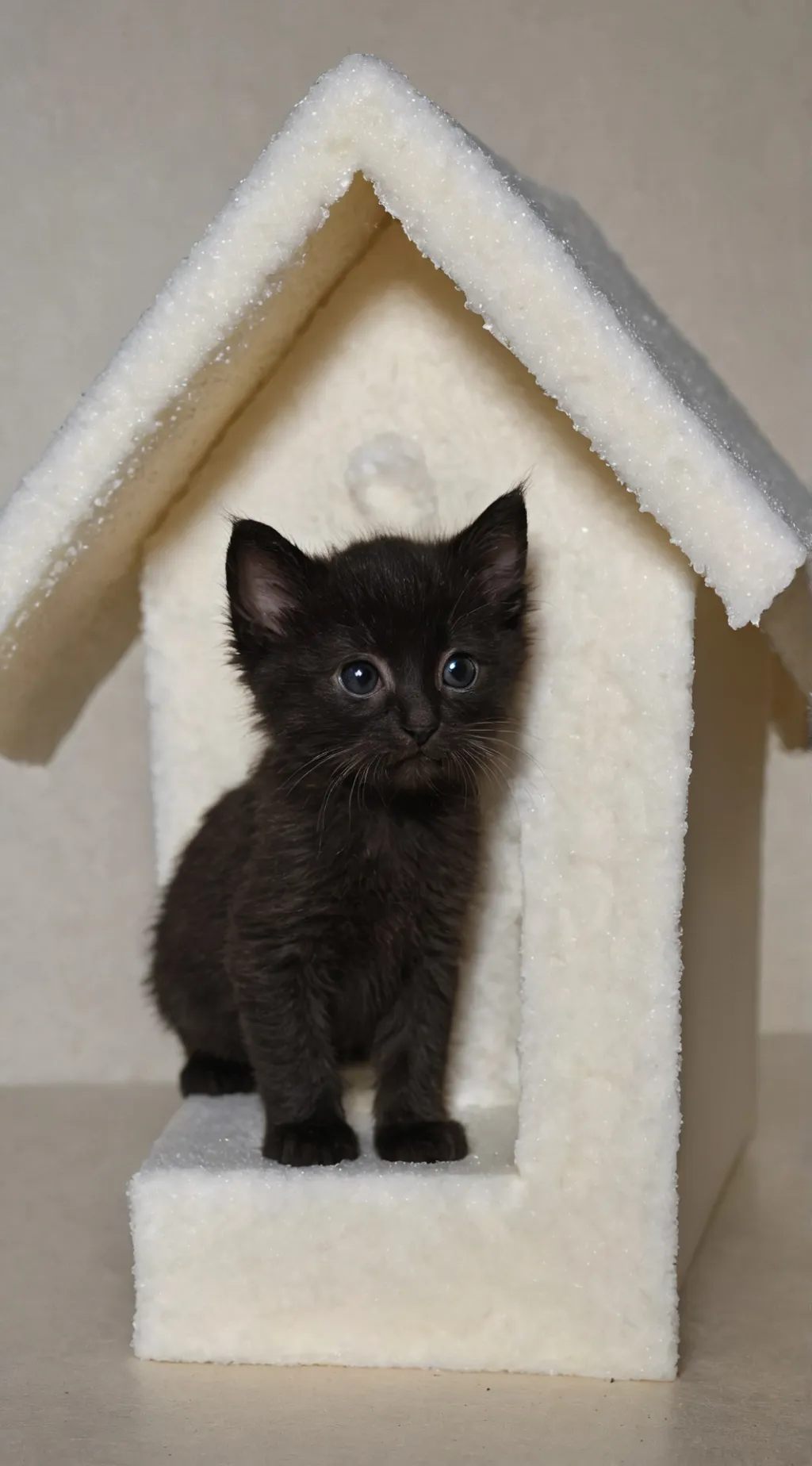 ai character: Human background