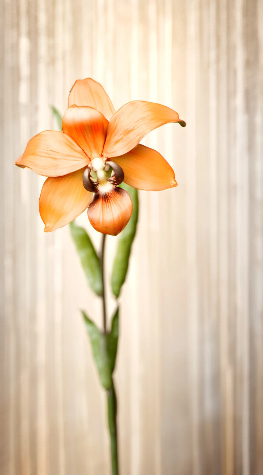 ai character: Kyler background