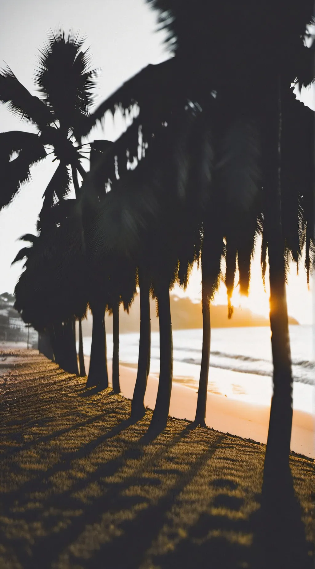 ai character: 🎀Baddie season background