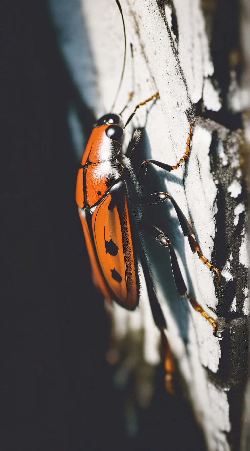 ai character: bug background