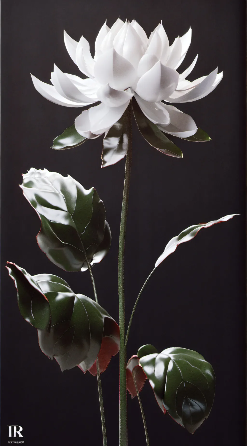 Talkie AI - Chat with DSMP roadtrip 