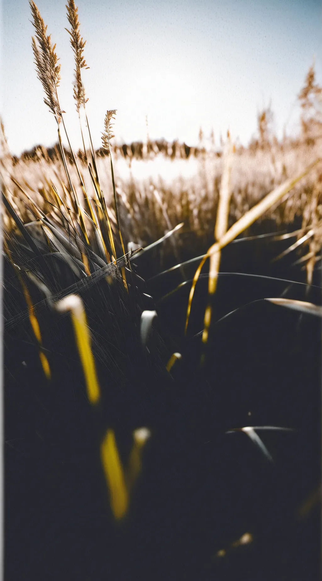 ai character: GO TOUCH GRASS background