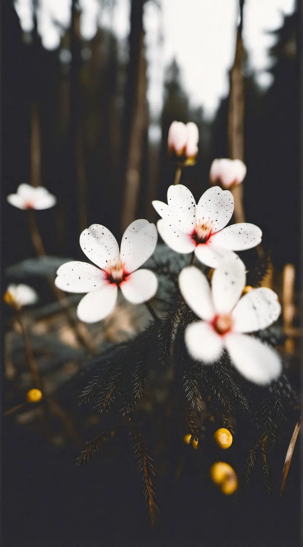 ai character: Mha x Just Monika  background