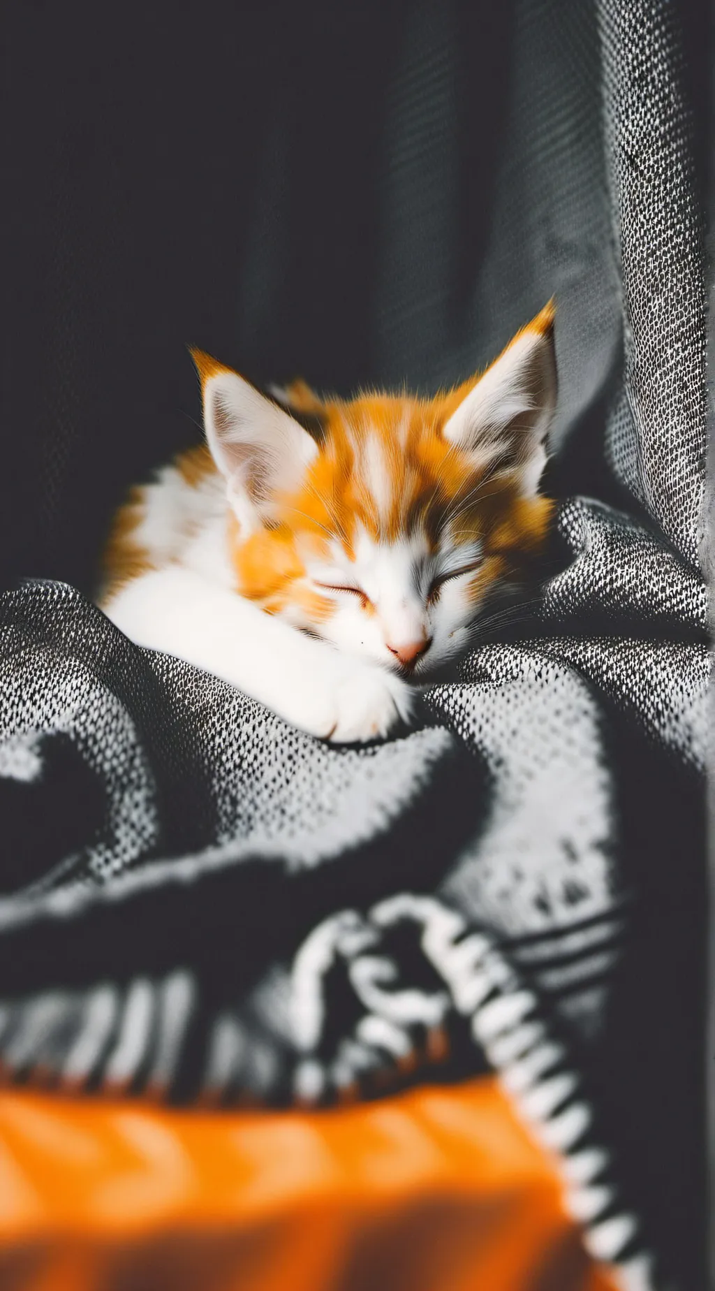 ai character: Kitten background