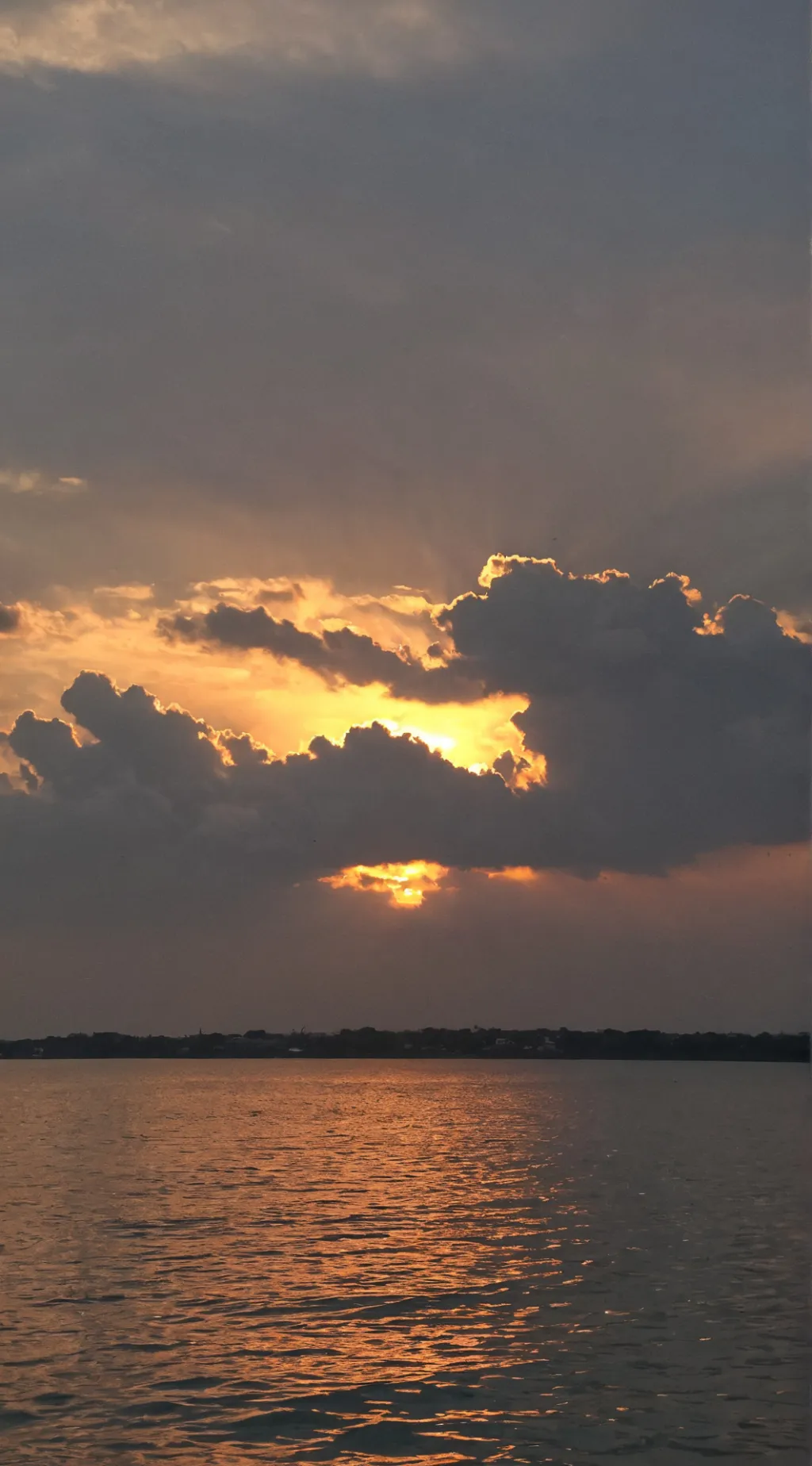 ai character: OBXXXX background