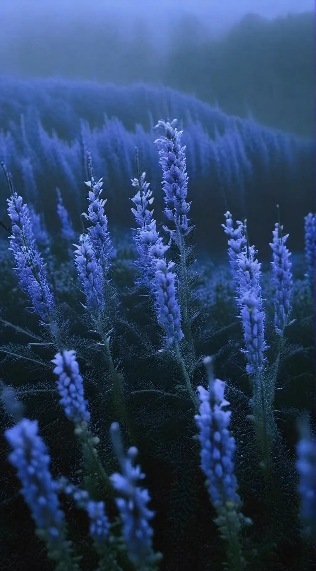 ai character: ~mha woods~ background