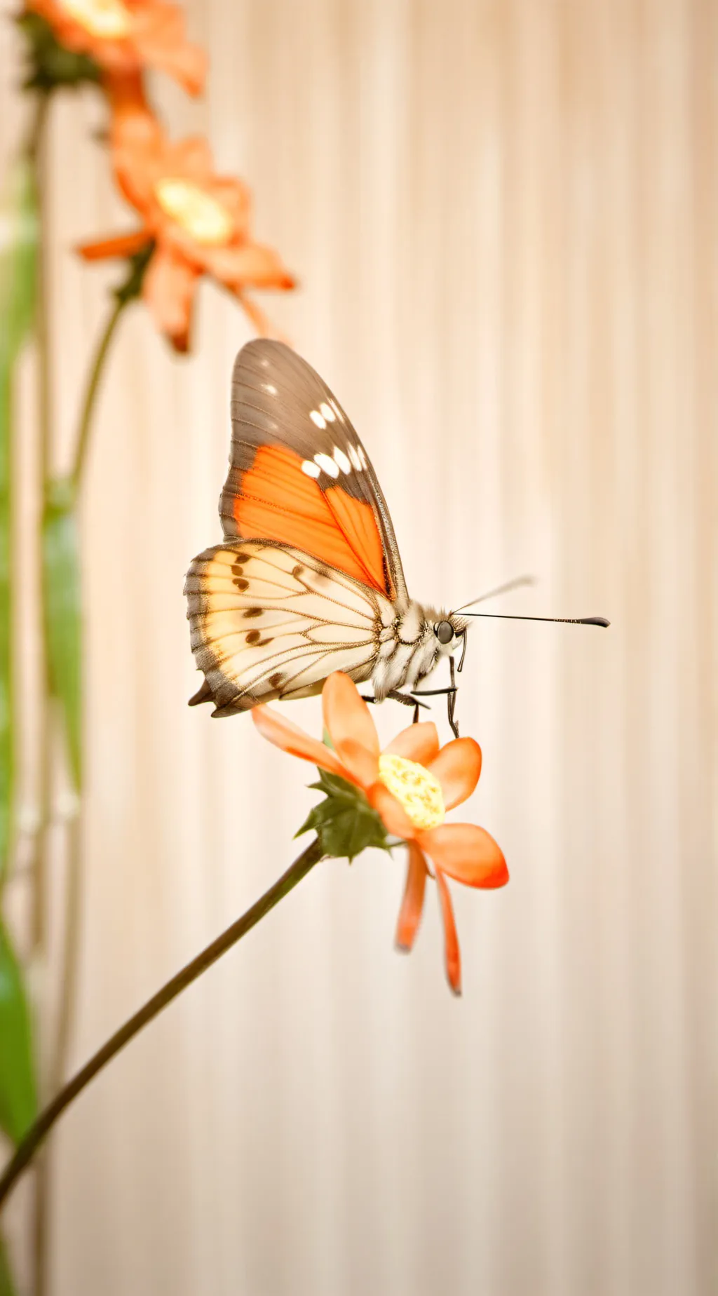 ai character: maker background