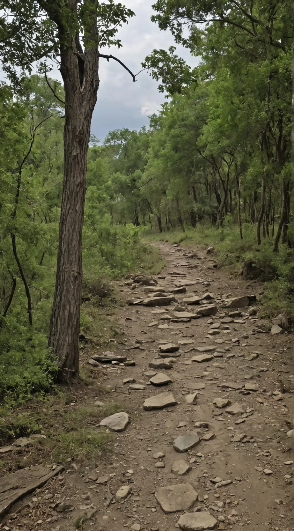 ai character: Idk  background