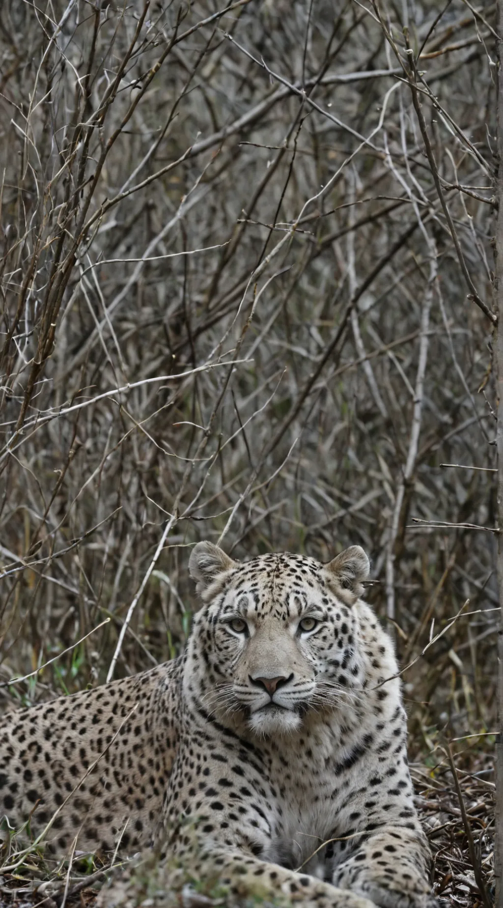 ai character: Mha background