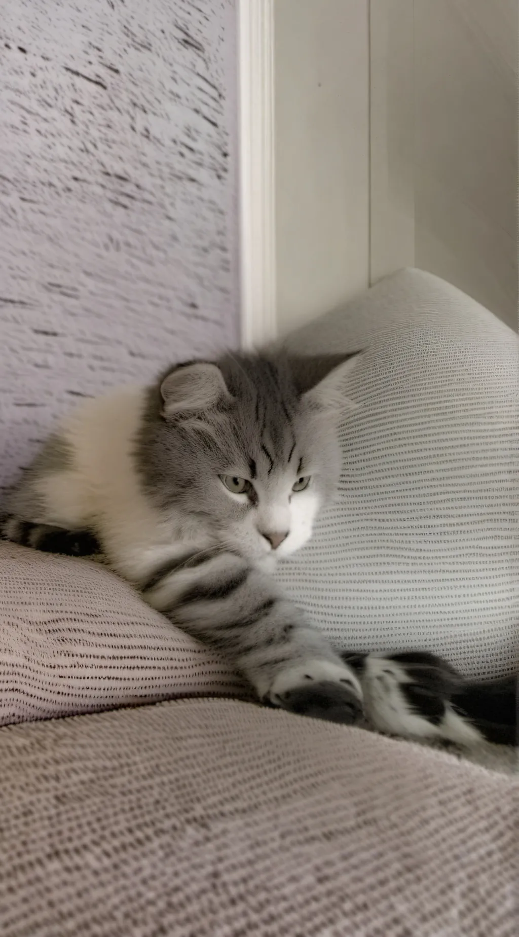 ai character: Safi background