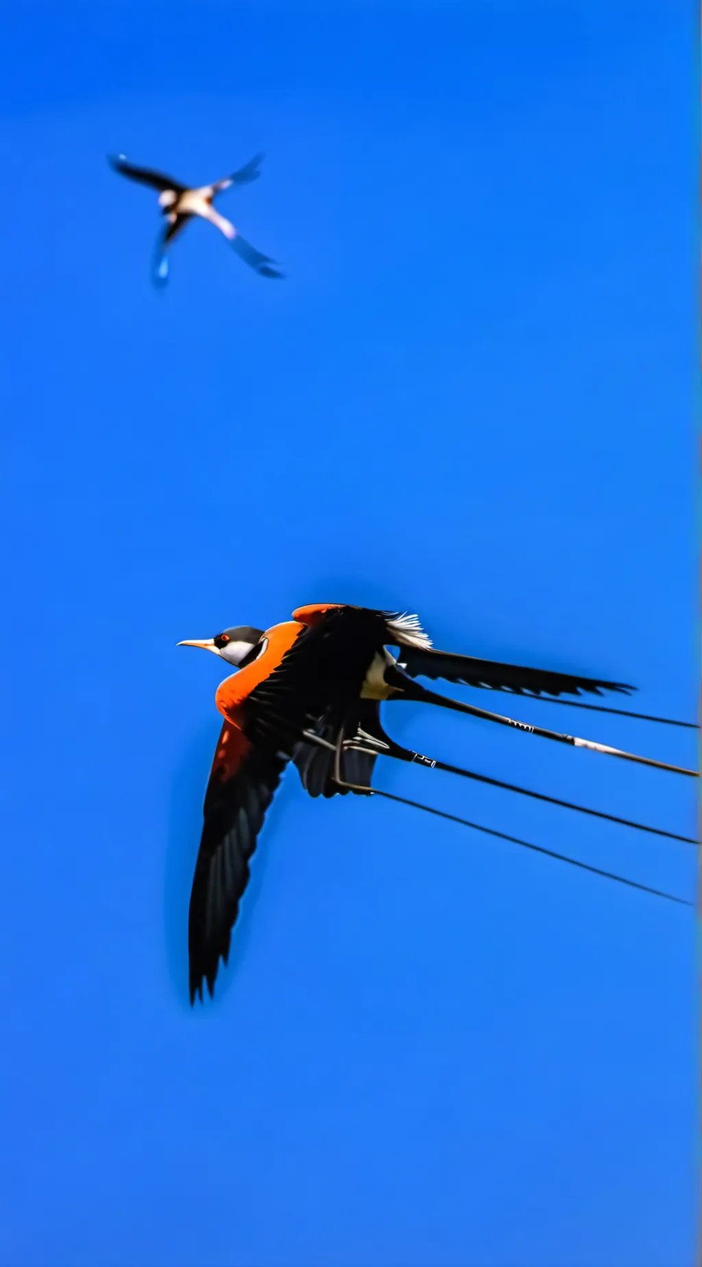 ai character: e a Q Q A and 000  background