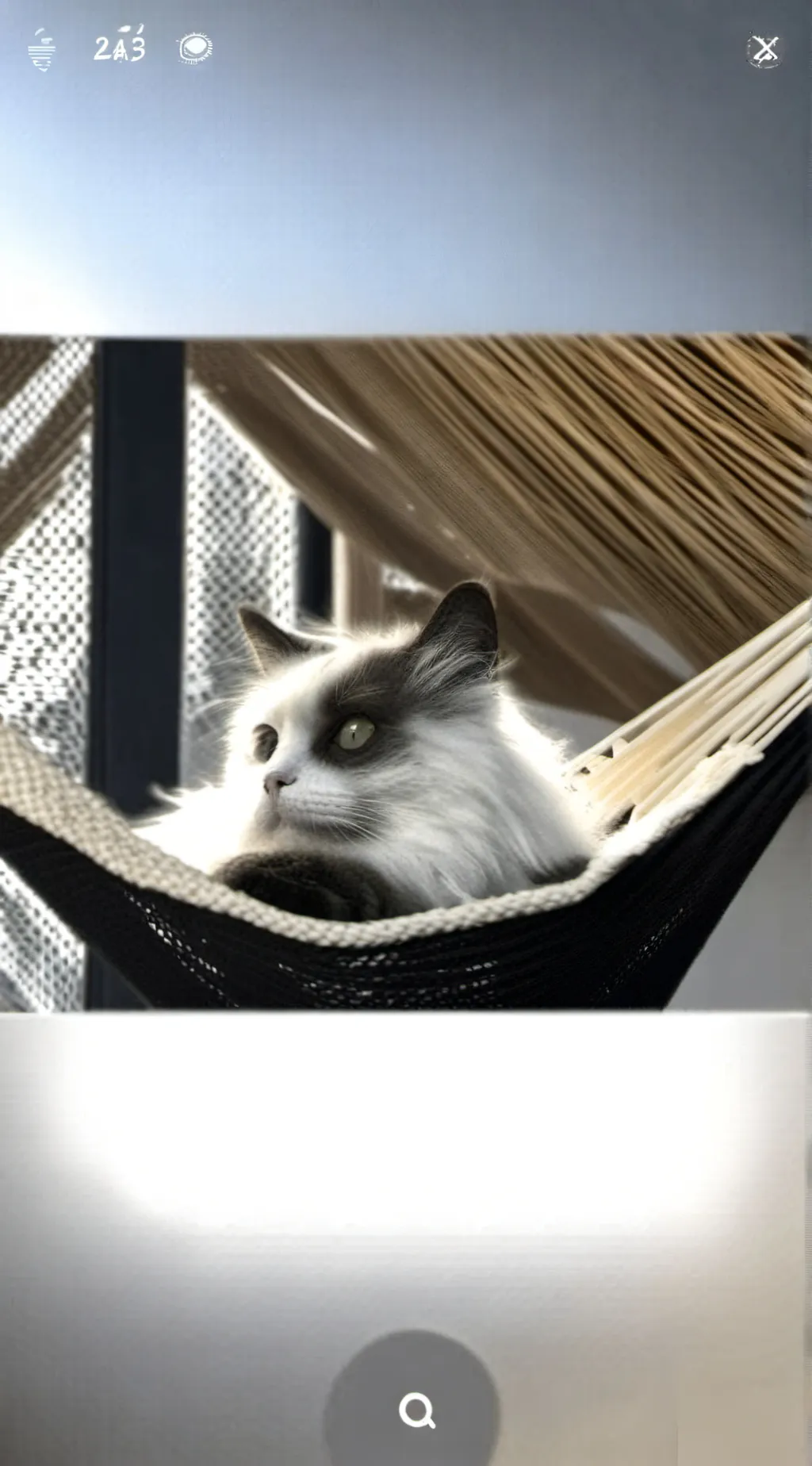 ai character: KitKat background