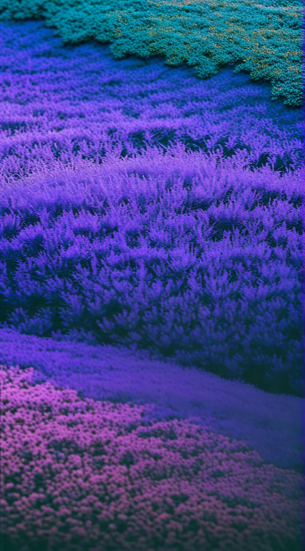 ai character: bangchan  background