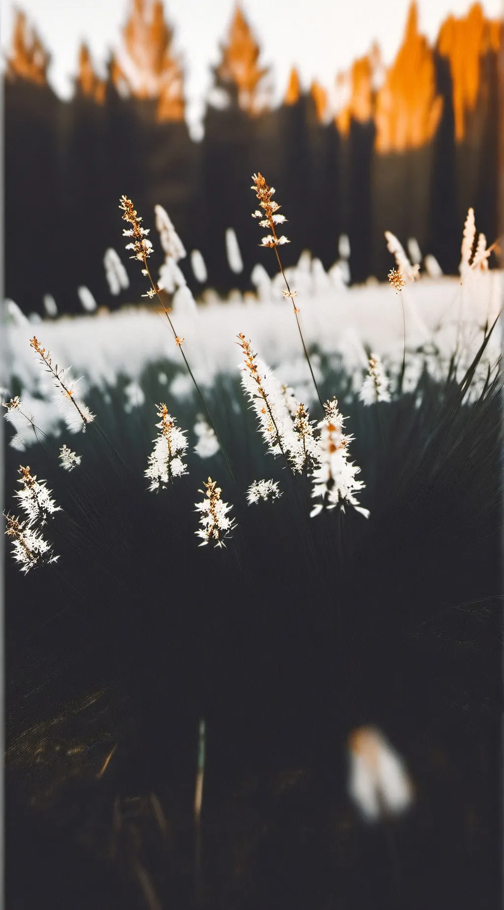 ai character: TOUCH GRASS BOZO 👎 background