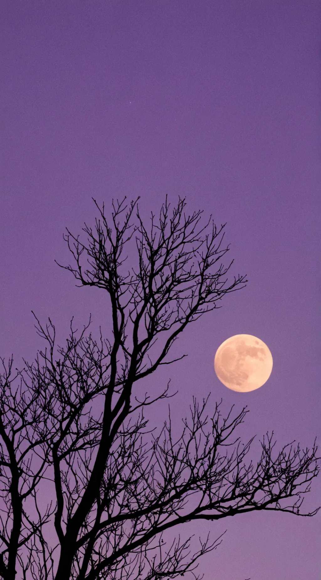 ai character: kpop familyyy background