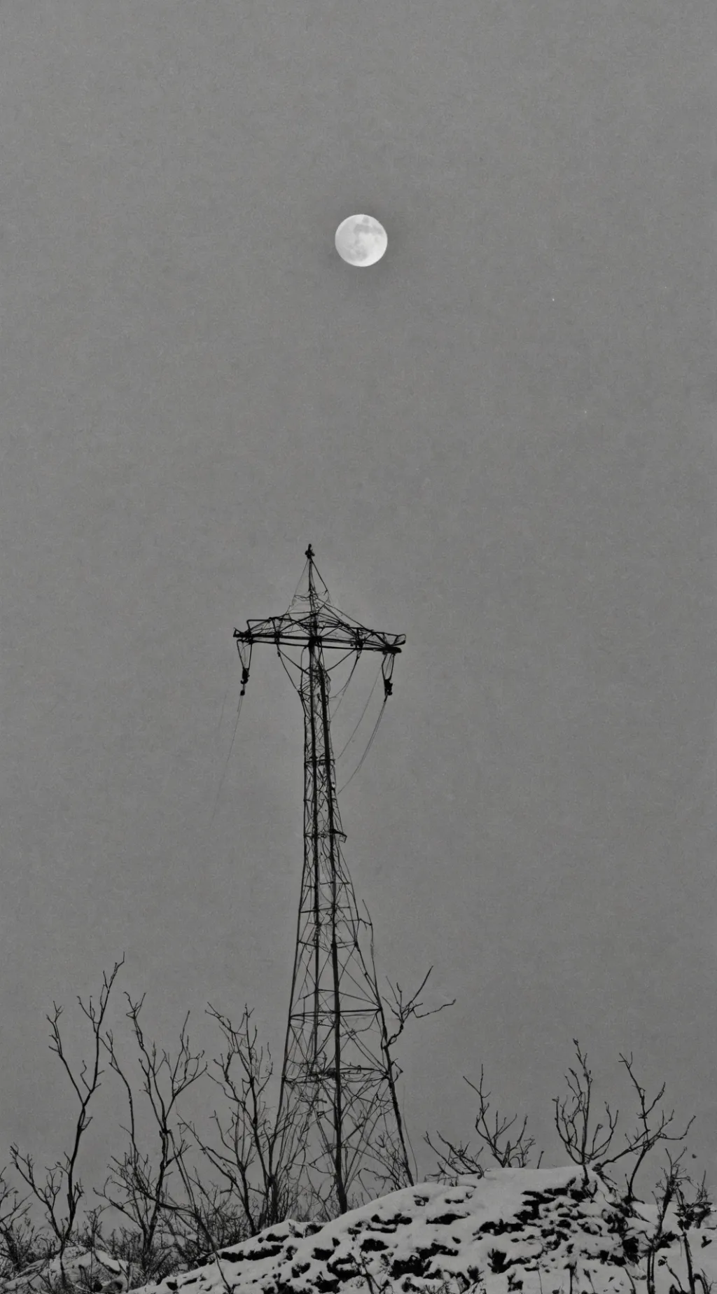 ai character: mha wild pet background