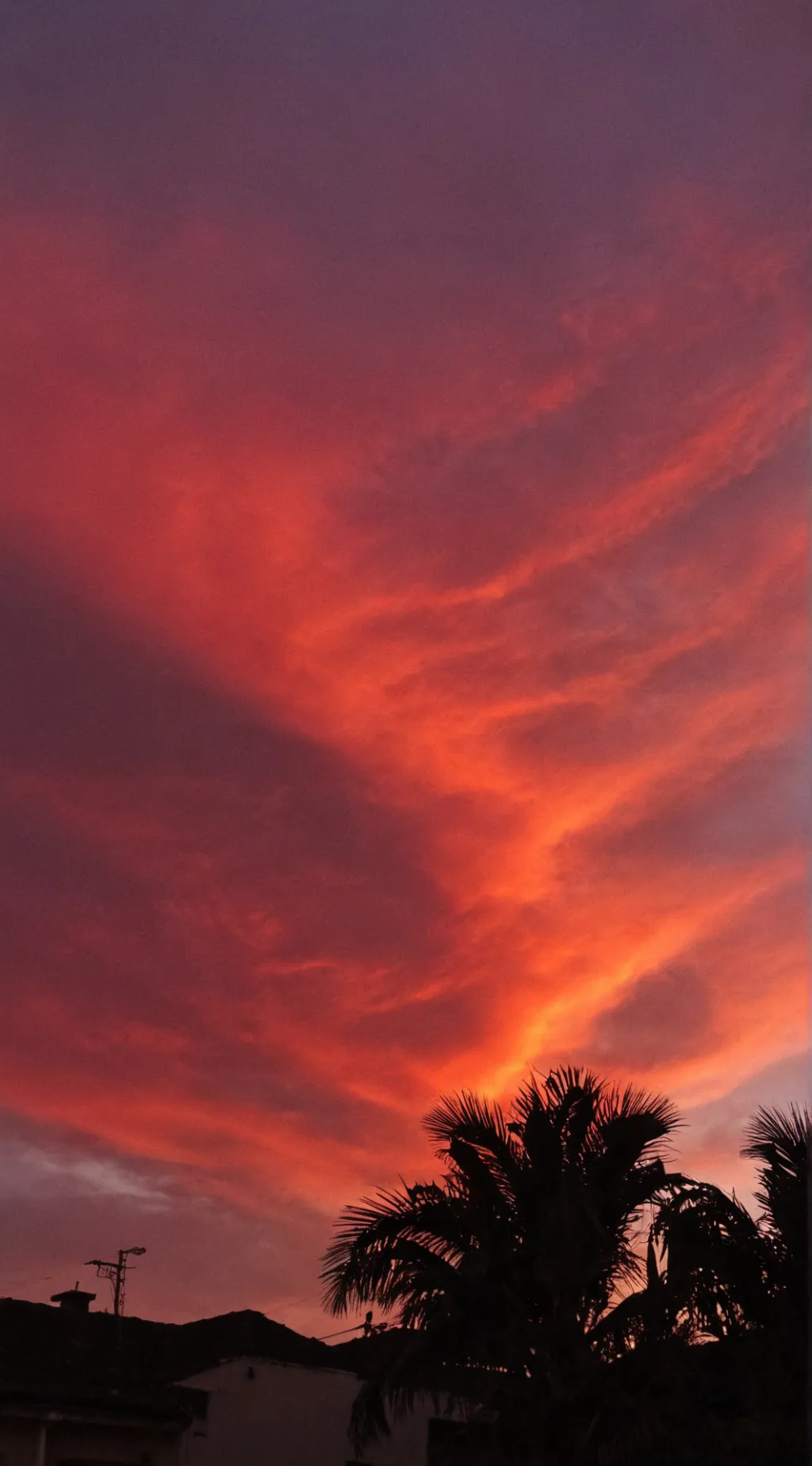 ai character: HH at the beach! background