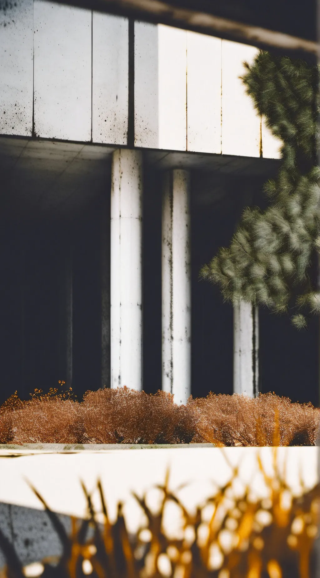 ai character: Danger background