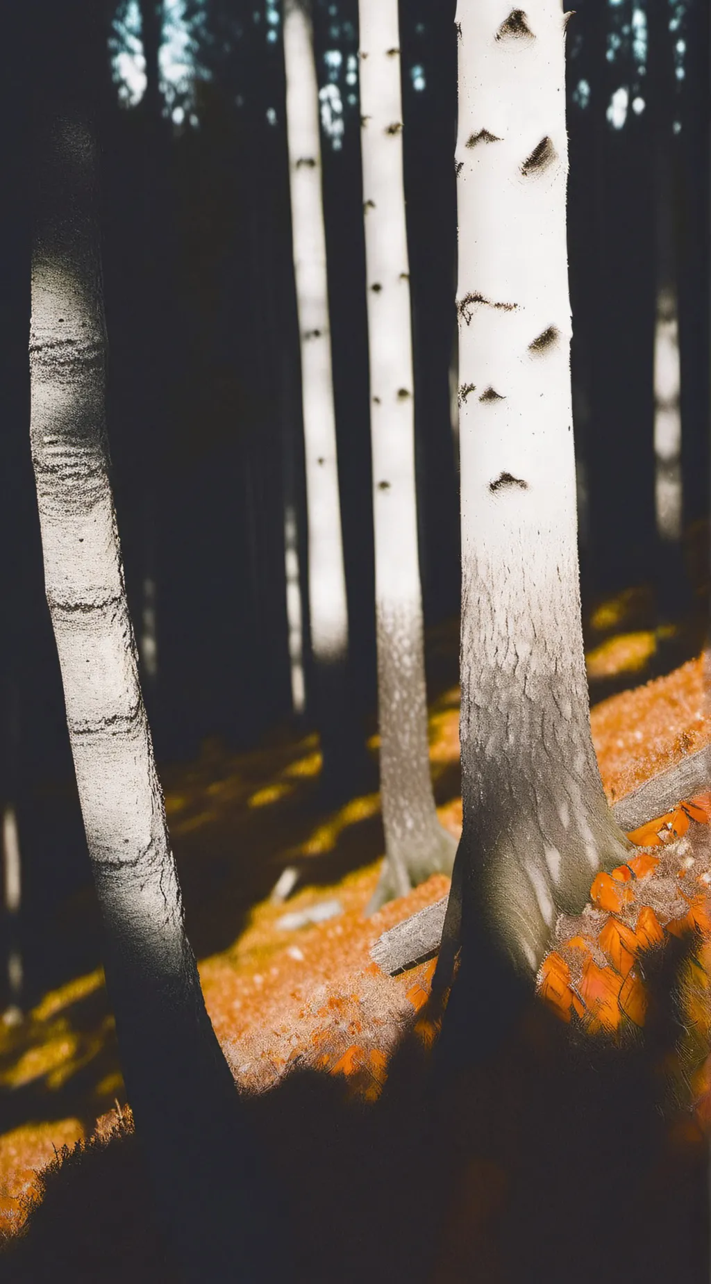 ai character: Kny secrets background