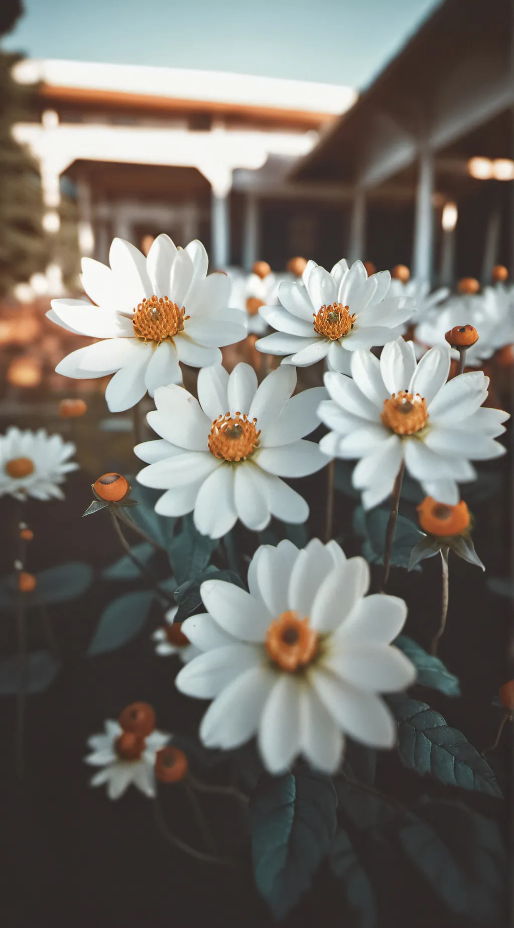 ai character: Ffe meets fpe  background