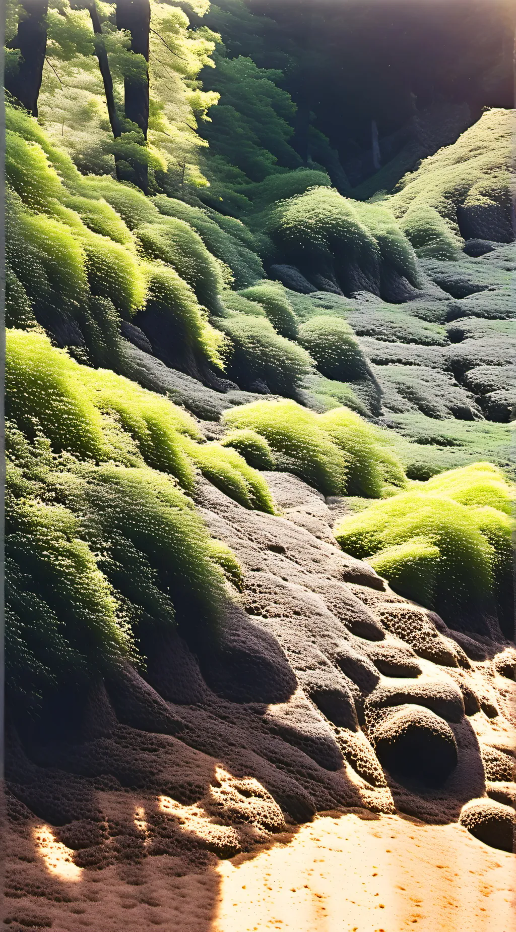 ai character: Sun'Clan background