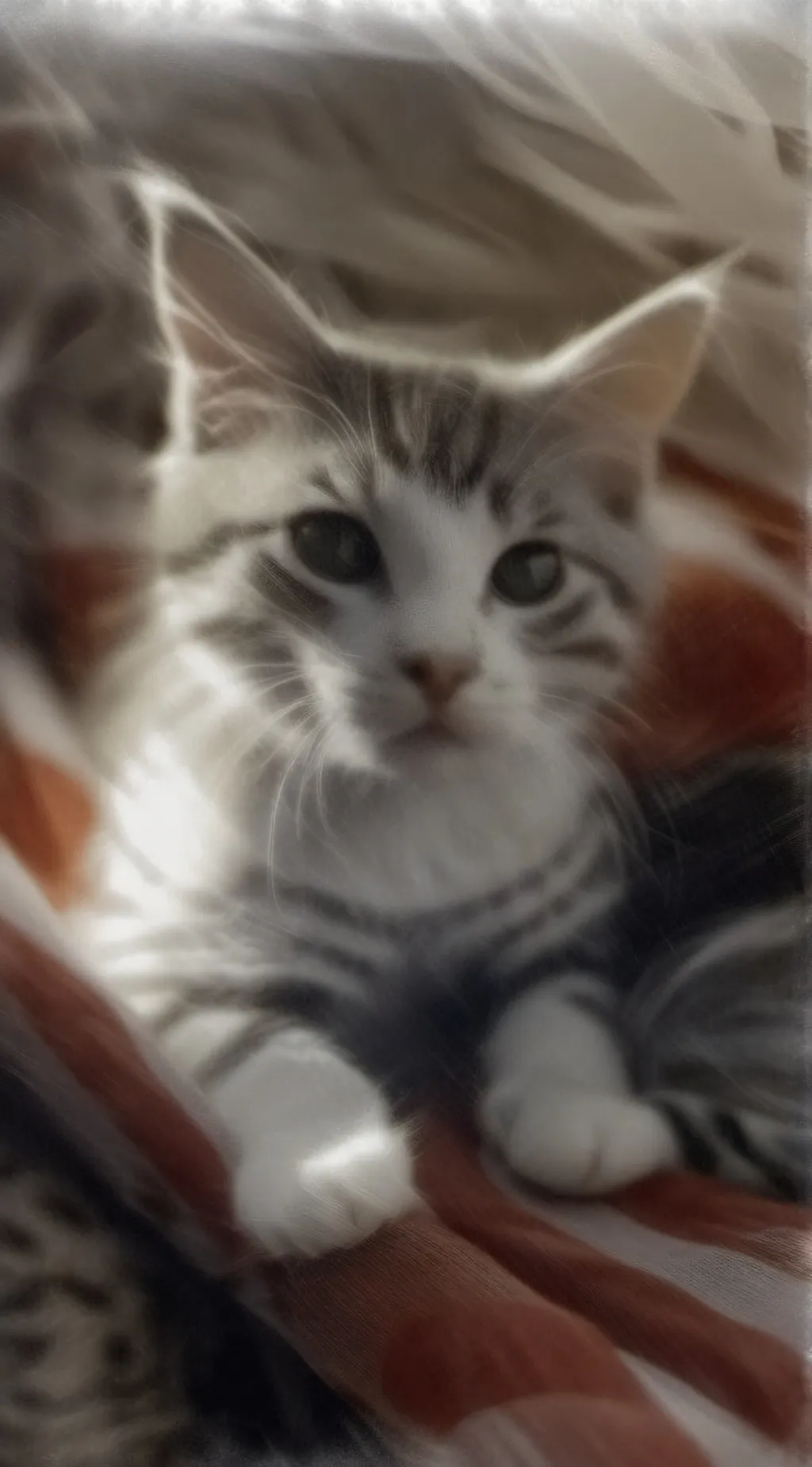 ai character: micio background