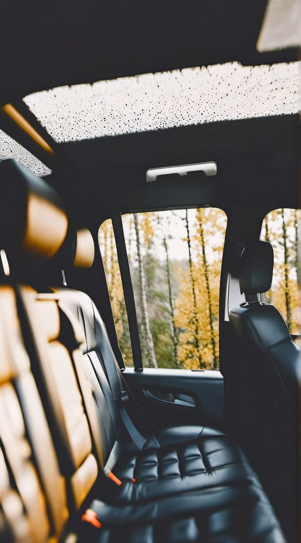 ai character: Cod~road-trip! background