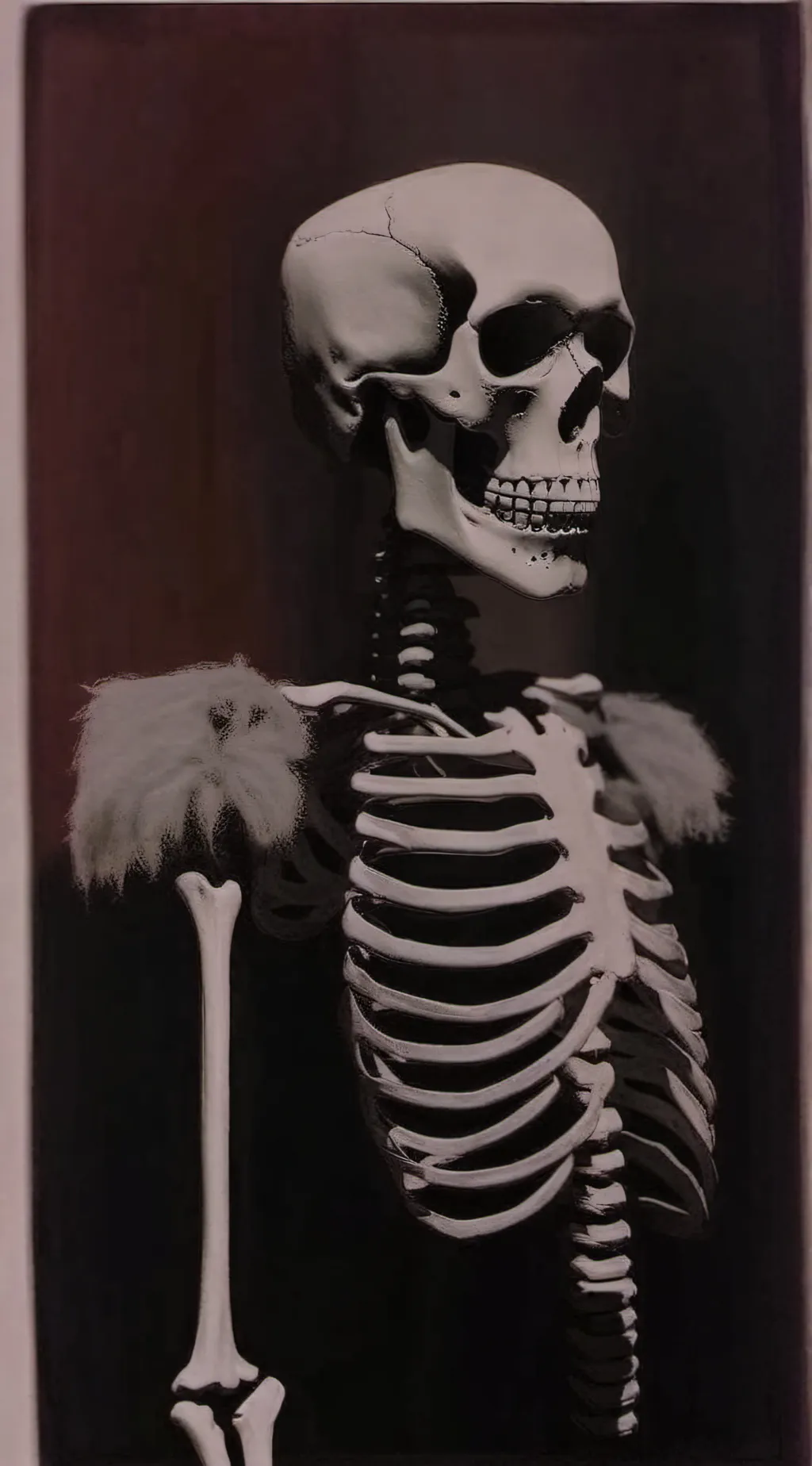 ai character: skeleton background