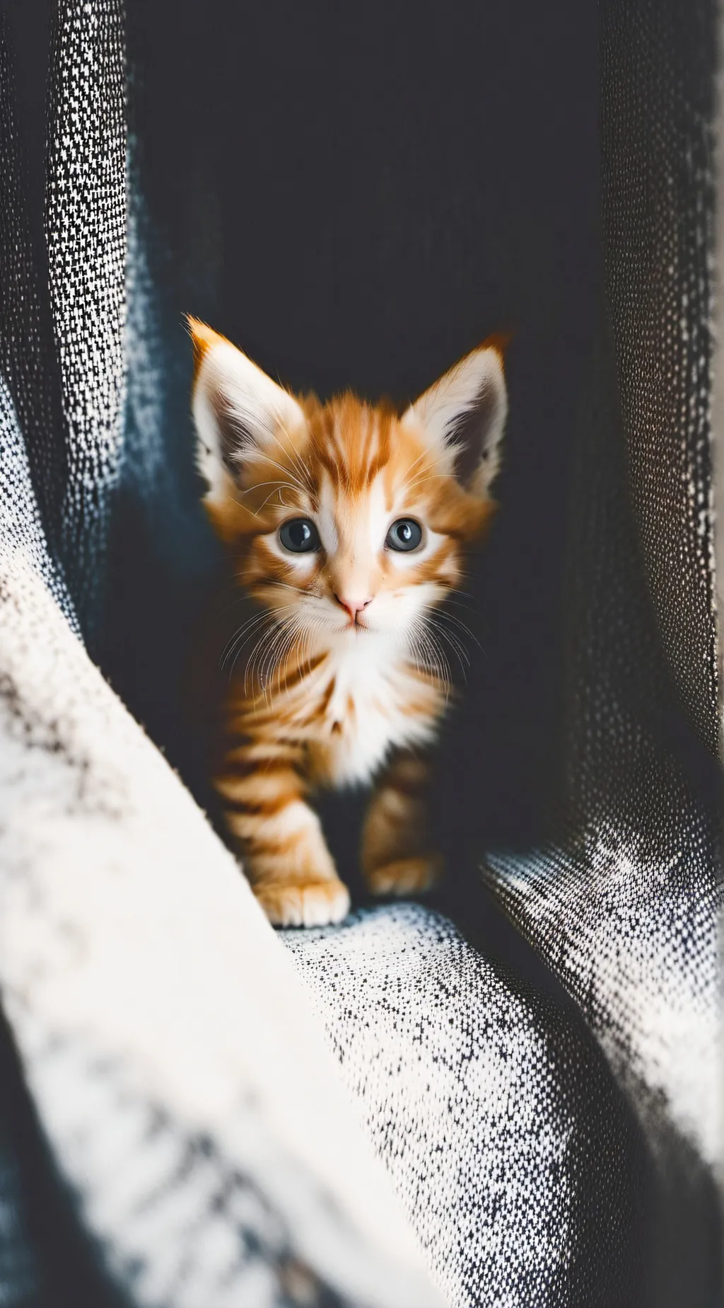 ai character: `💕` background