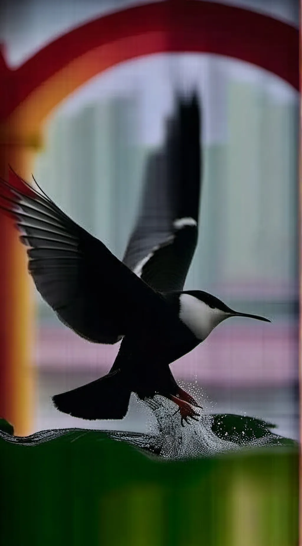 ai character: Y/ns Secret background