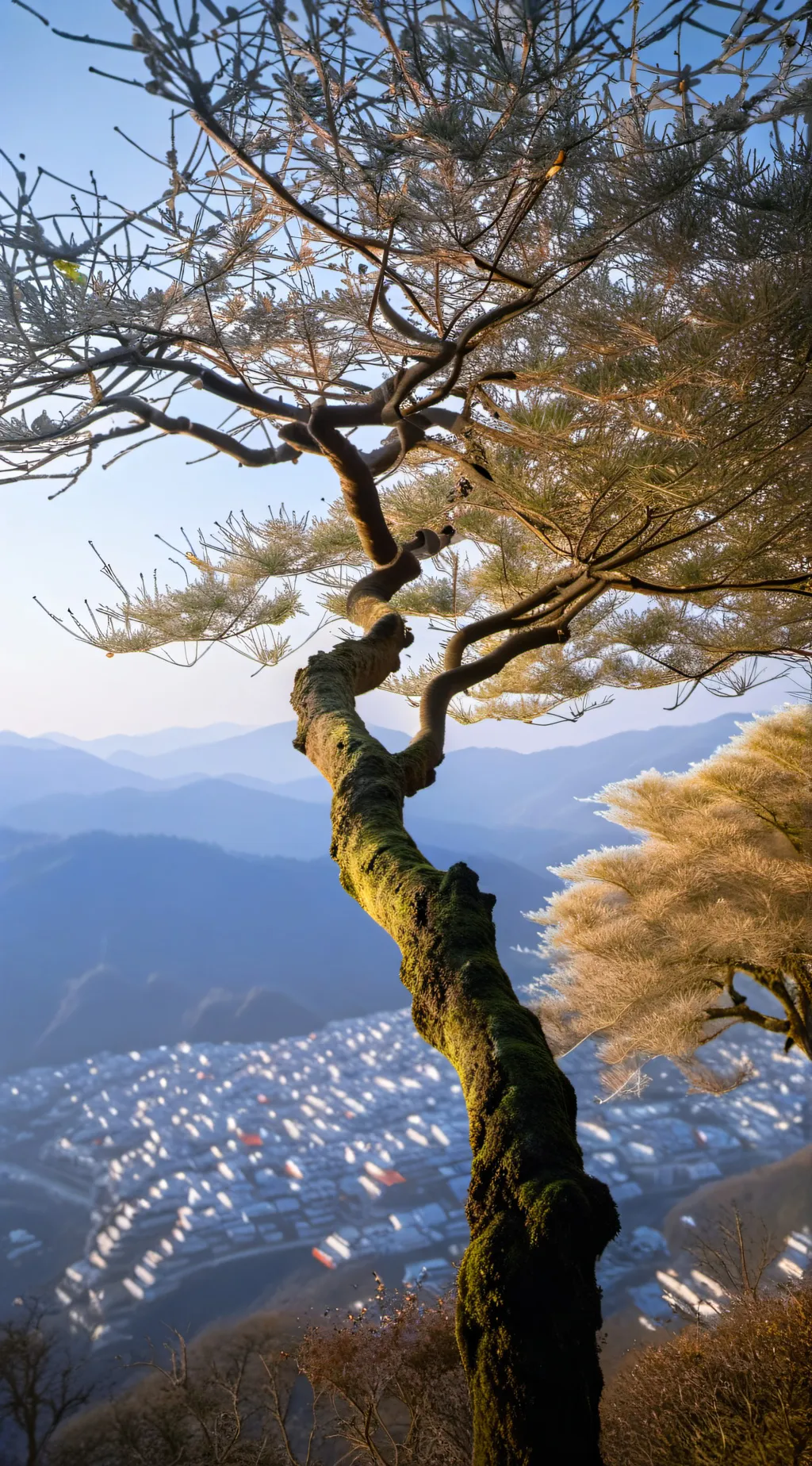 Talkie AI - Chat with ImpulseSV 