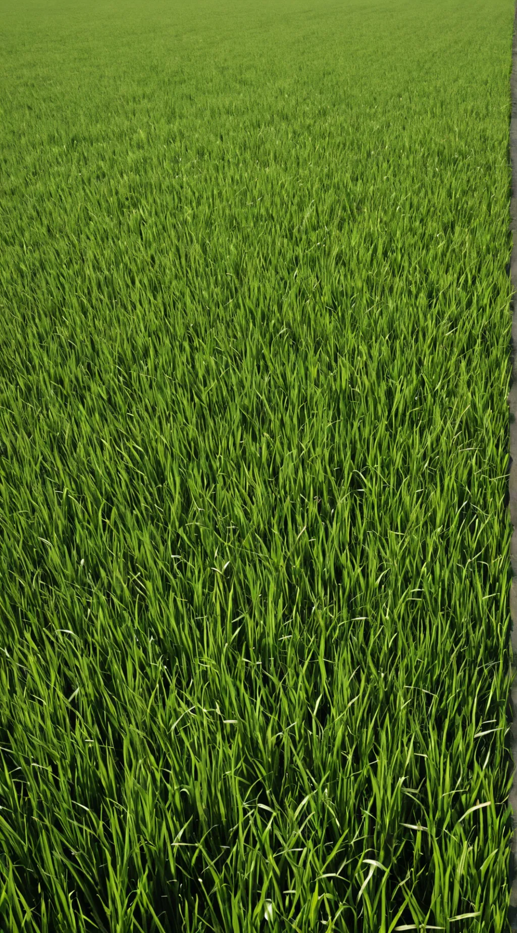 ai character: Grass background