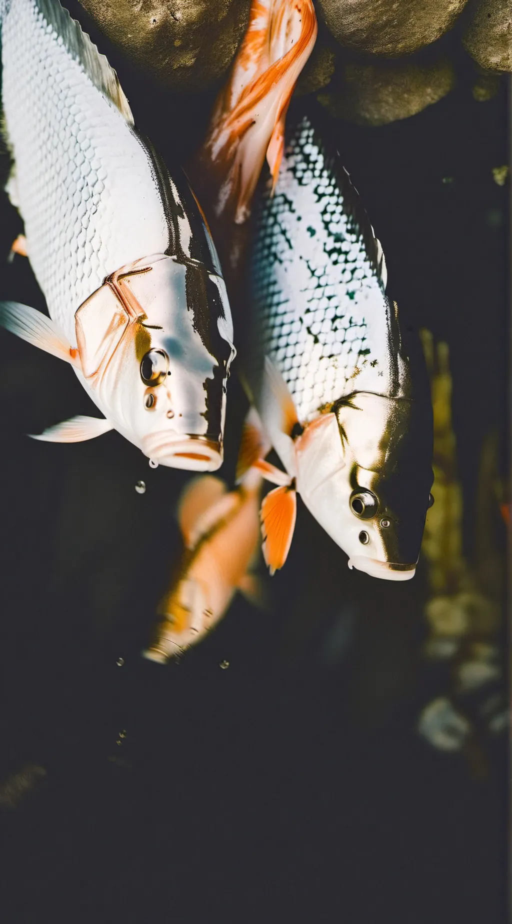 ai character: fish eating a fish background