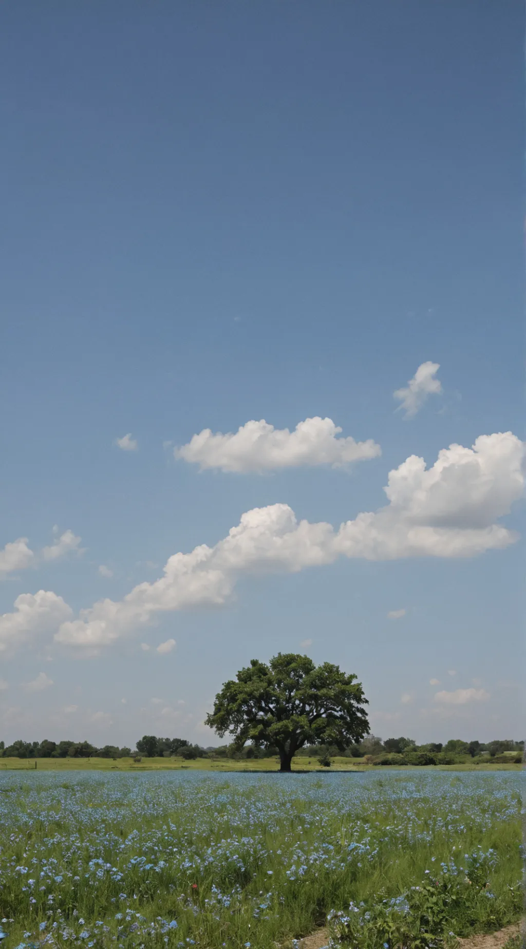 ai character: MHA PREGNANT**GAY* background