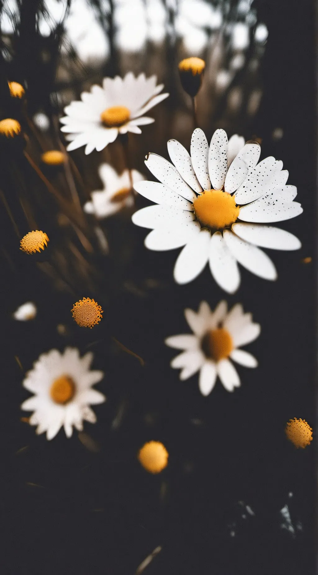 ai character: Jschlatt background