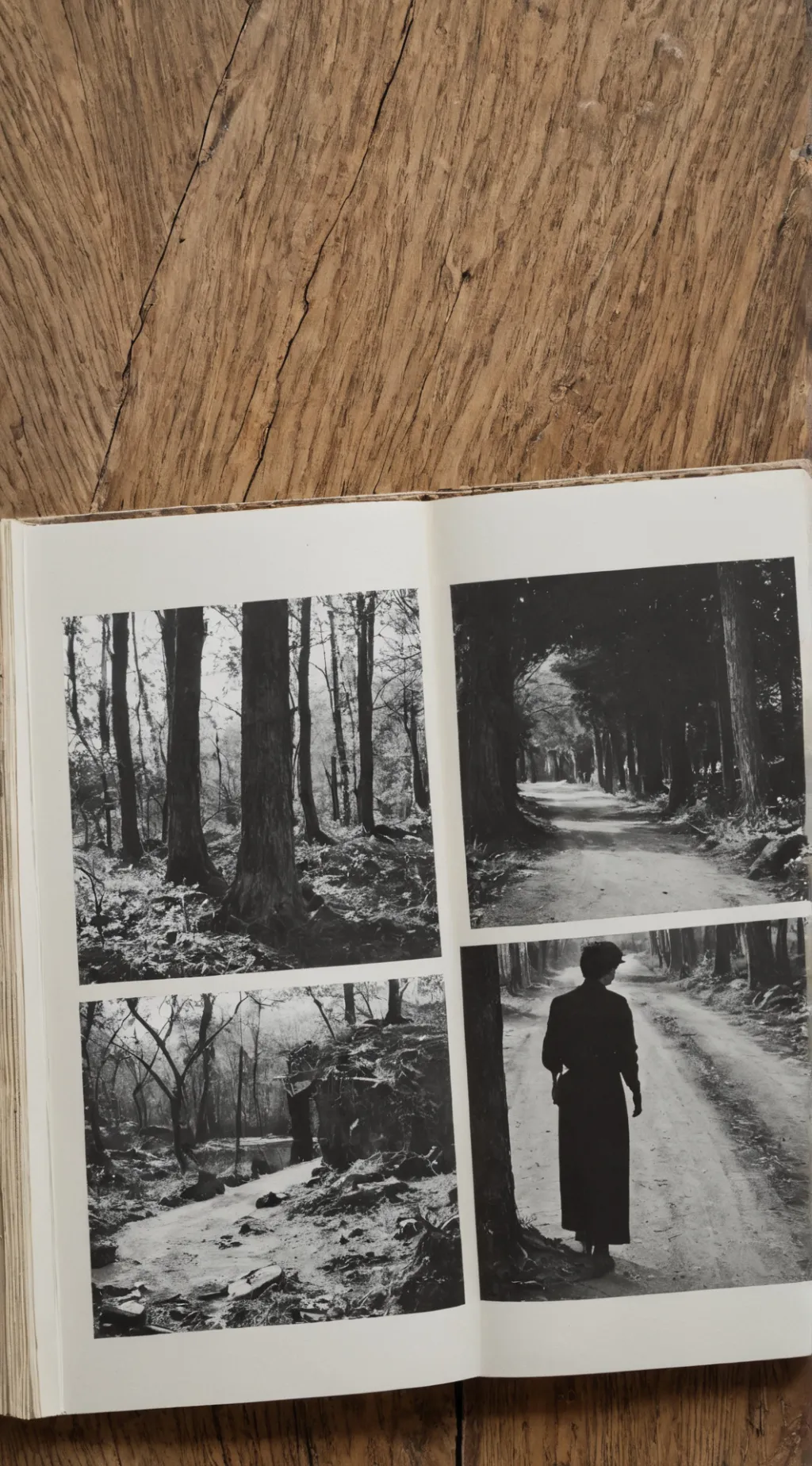 Talkie AI - Chat with MHA Cringe Photos