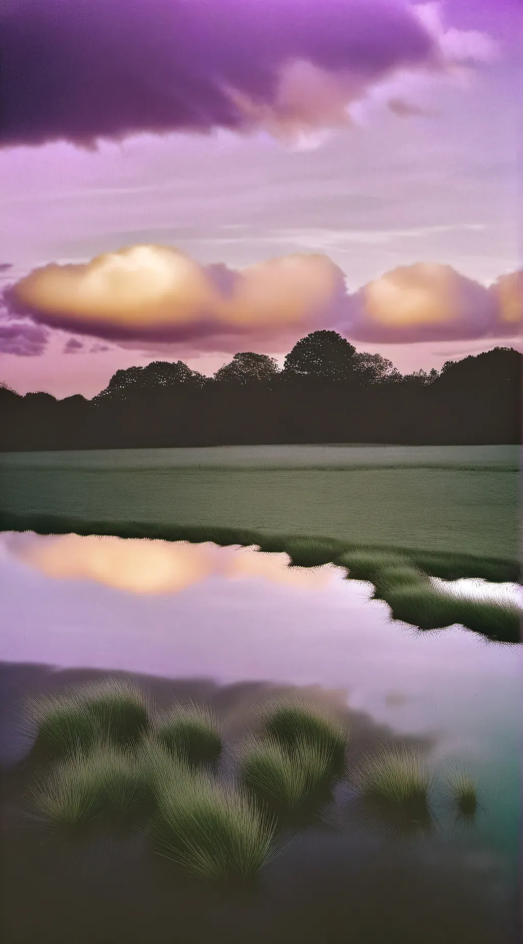 ai character: 𝒞𝑜𝓂𝒻𝑜𝓇𝓉 𝓅𝓁𝒶𝒸𝑒 background